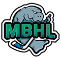 Manatee Ball Hockey League